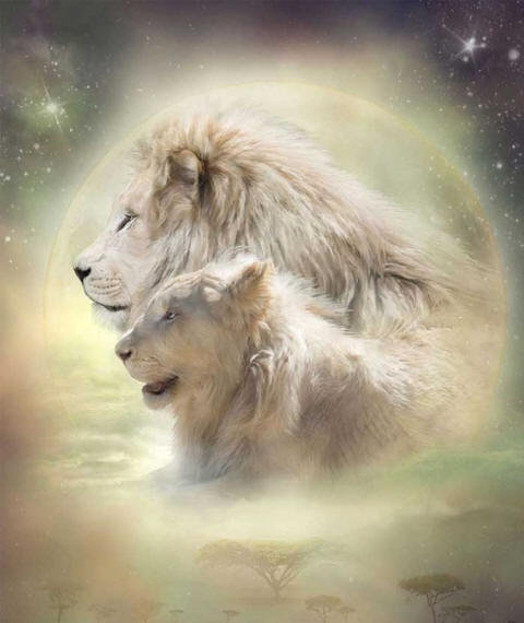 семья львов - оригинал