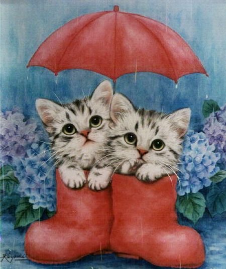 Под зонтом - животные, котята, кошки - оригинал