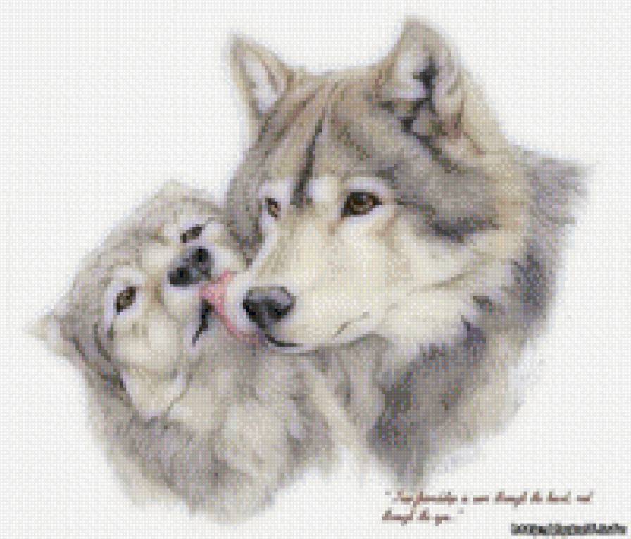 Нежность волков - волки - предпросмотр