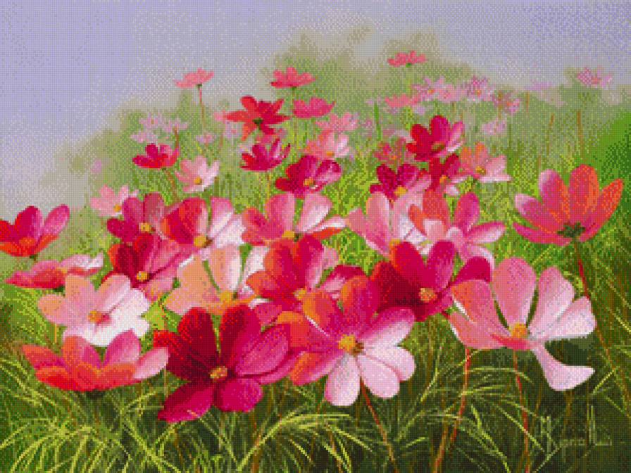 Цветочная поляна - природа, цветы - предпросмотр