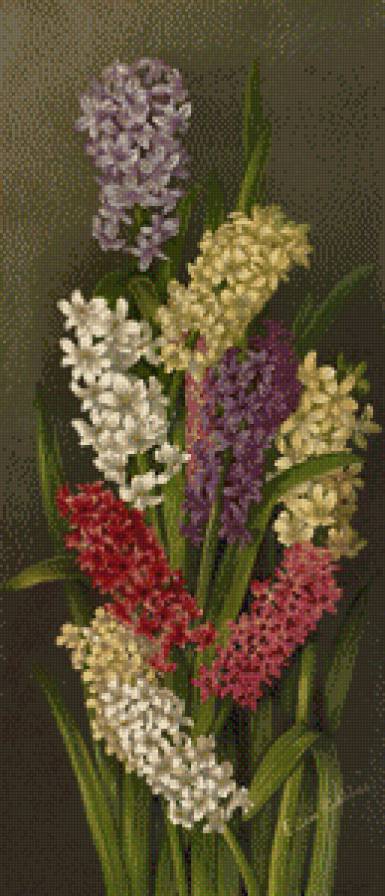 Гиацинты - букет, цветы, гиацинты - предпросмотр