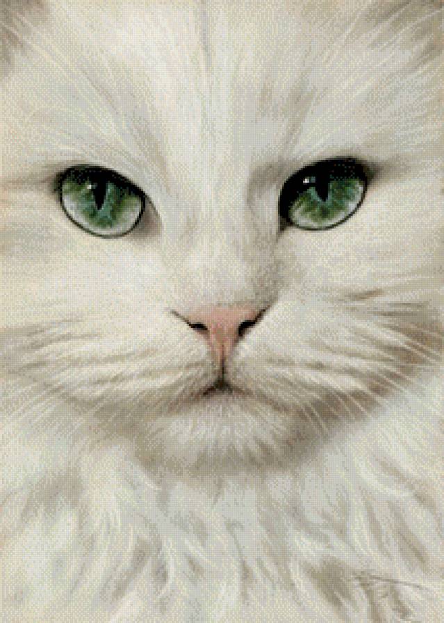 Зеленоглазка - животные, кошки - предпросмотр