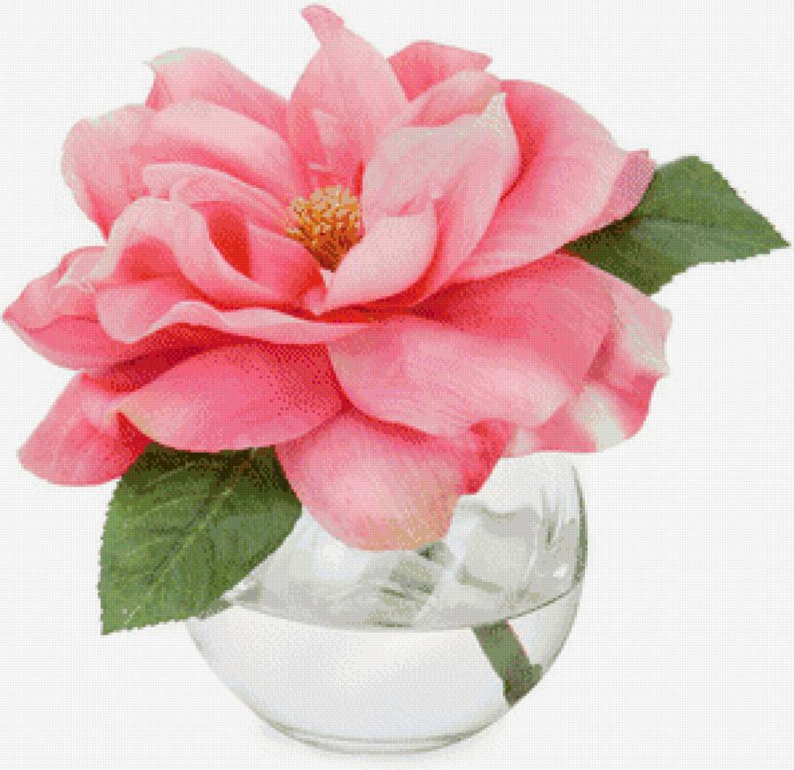 Розочка - роза, цветы - предпросмотр