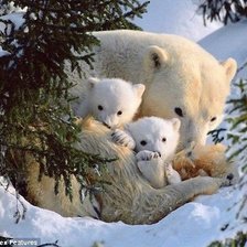 Схема вышивки «Мишки»