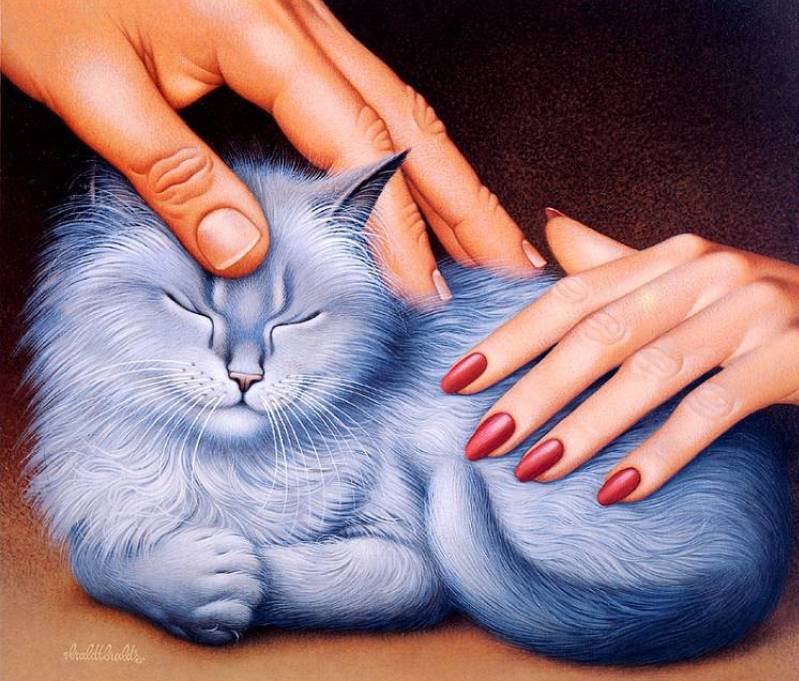 Ласка - кошки, животные - оригинал