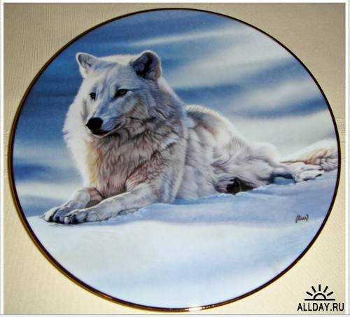 Одиночка - зима, животные, волки - оригинал