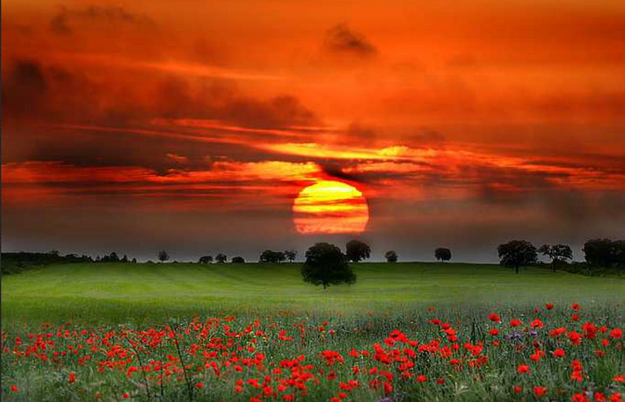 закат - природа - оригинал