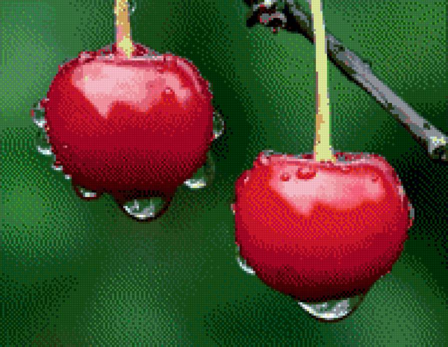 вишни - фрукты - предпросмотр