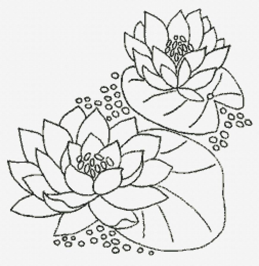 Лотосы - азия, цветы, контурная, восток, монохром - предпросмотр