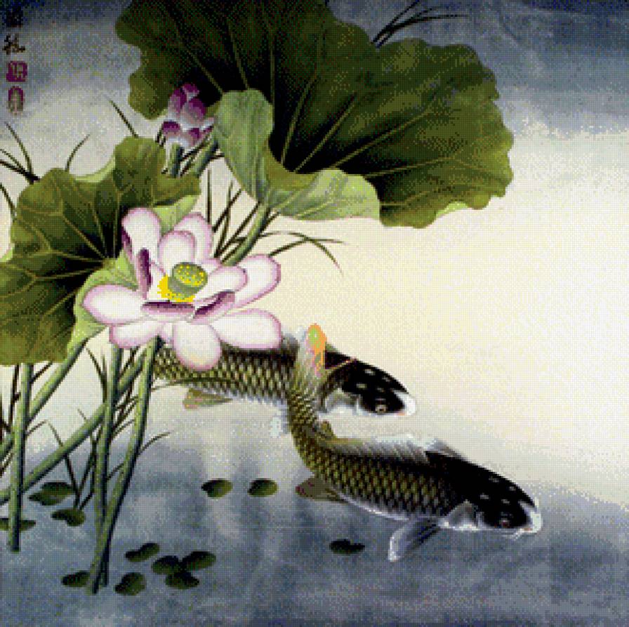 Лотосы с карпами - цветы, азия, восток, рыбы, пейзаж - предпросмотр