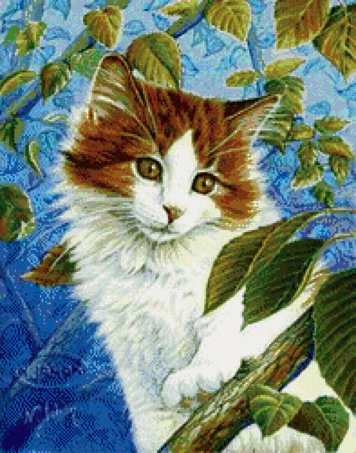 №511424 - предпросмотр