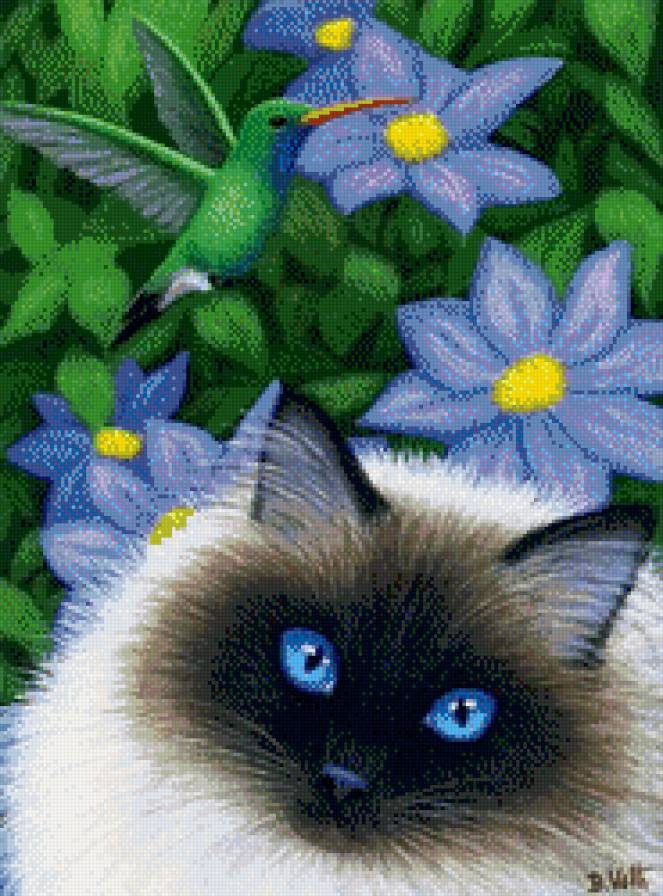 №511432 - предпросмотр