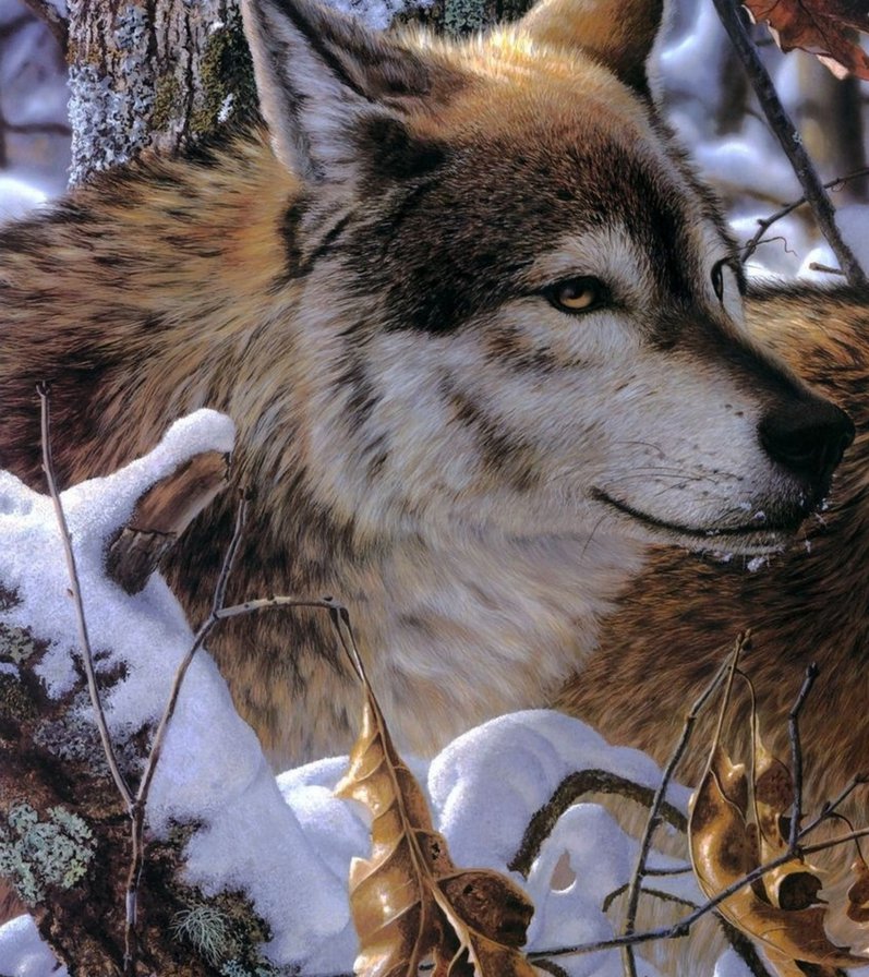 Волки диптих часть 1 - волки, диптих - оригинал