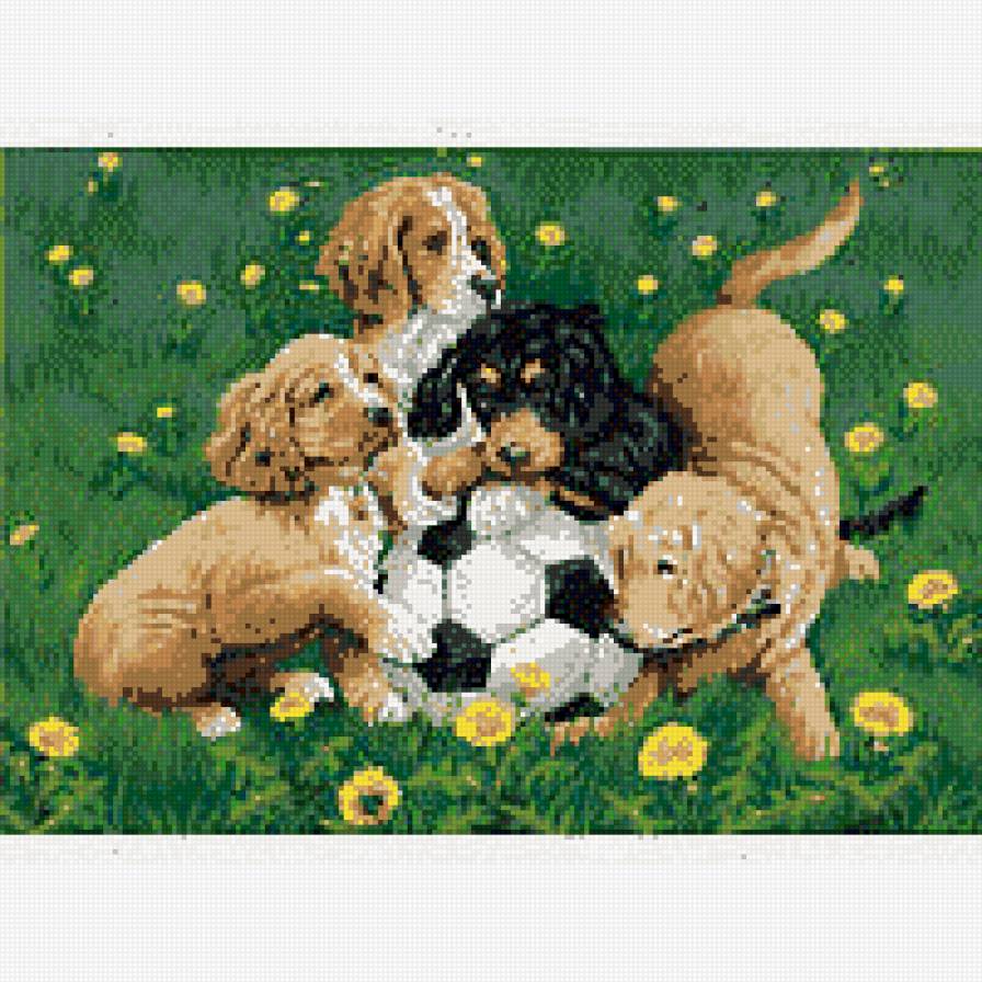 футбольная команда - предпросмотр