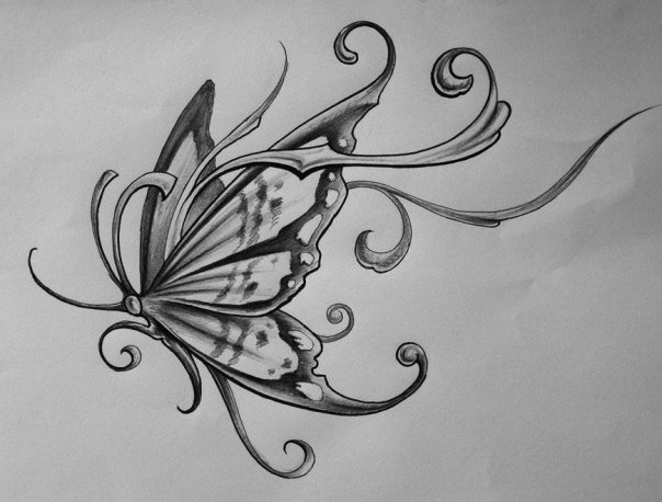 бабочка - оригинал