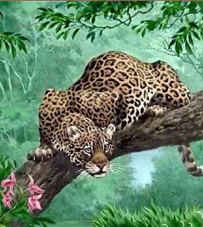 леопард - леопард, вода, коты, животные, дикие кошки - оригинал