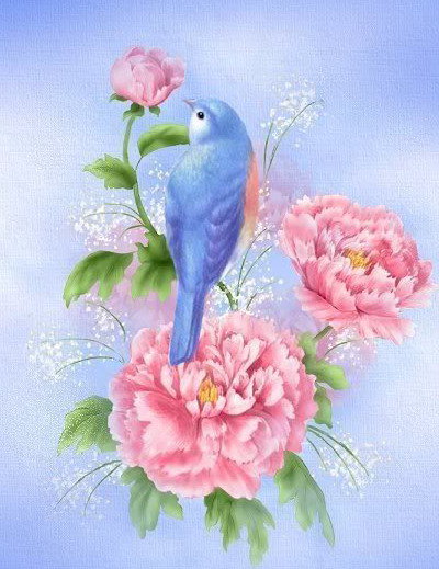 птичка на цветке - пион, птицы, букет, цветы - оригинал