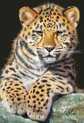 №511753 - оригинал