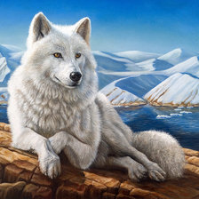 Оригинал схемы вышивки «Белый волк» (№511769)