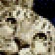 Предпросмотр схемы вышивки «Снежные барсы» (№511815)