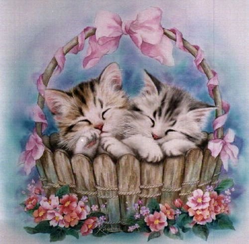 Малыши - кошки, котята, животные - оригинал