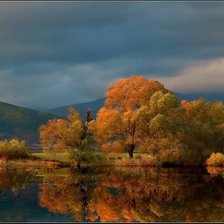 Схема вышивки «№511830»