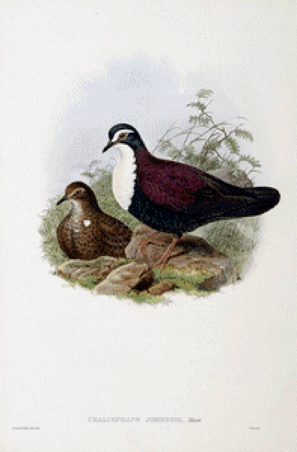 Серия "Птички-невелички" - пейзаж, птицы - предпросмотр