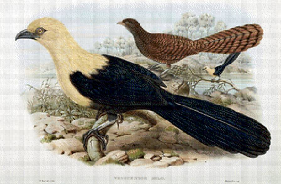 Серия "Птички-невелички" - птицы, пейзаж - предпросмотр