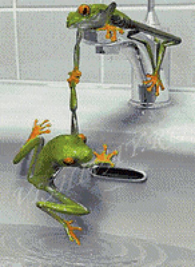 лягушки подружки - предпросмотр