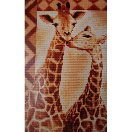 Жирафы - природа, жирафы, животные - оригинал