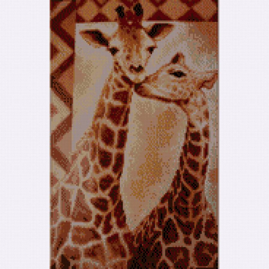 Жирафы - природа, животные, жирафы - предпросмотр