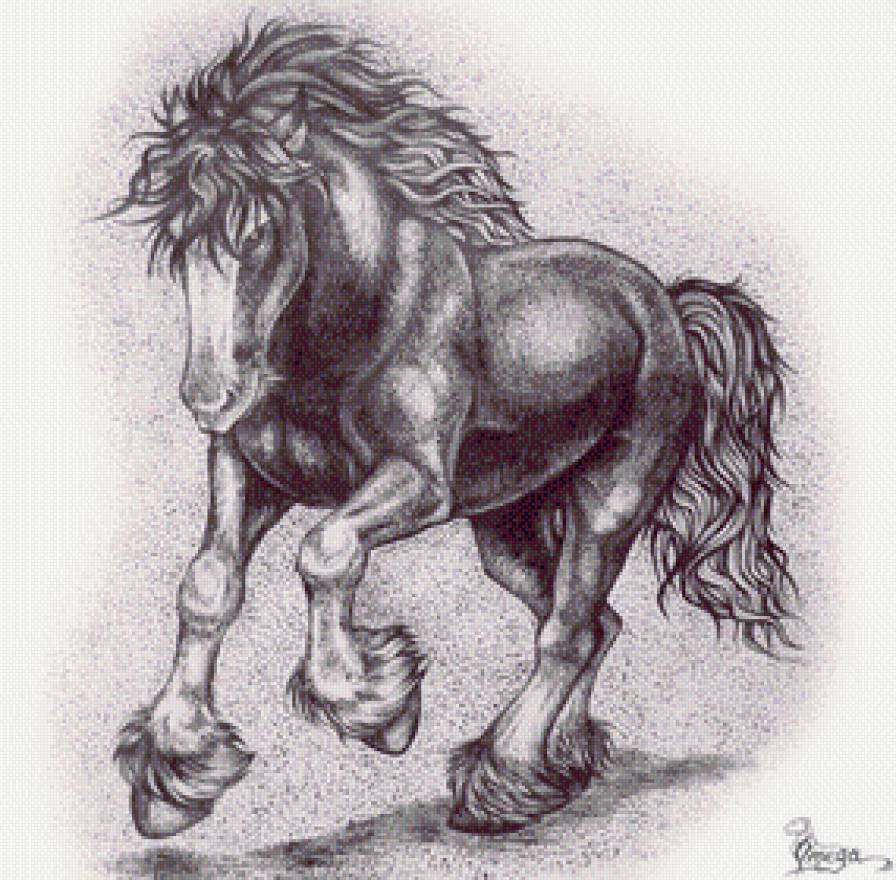 Лошадь - животные, монохром, лошади - предпросмотр