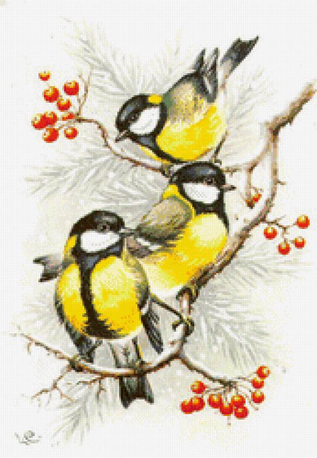 №512228 - предпросмотр