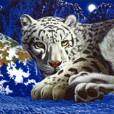 Схема вышивки «тигра»