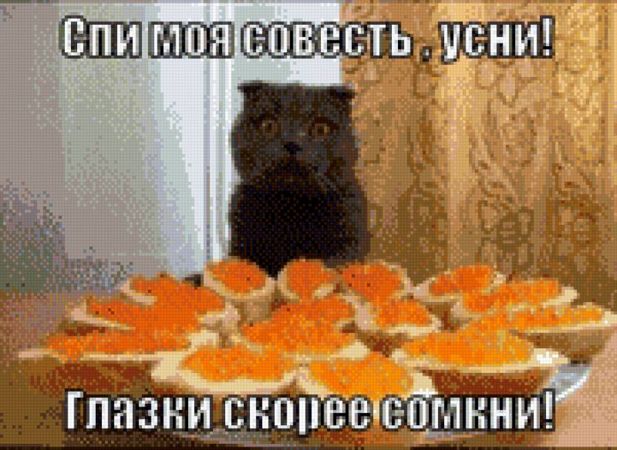 киска - забавные животные - предпросмотр