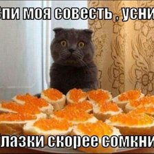 Схема вышивки «киска»