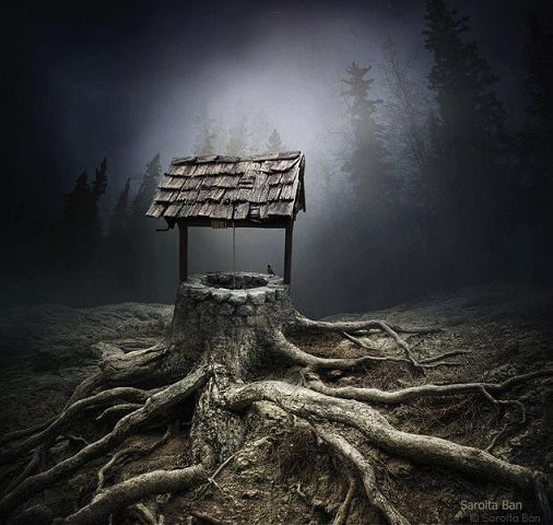 колодец - колодец, волшебство, ночь.колдовство, сказка, лес - оригинал