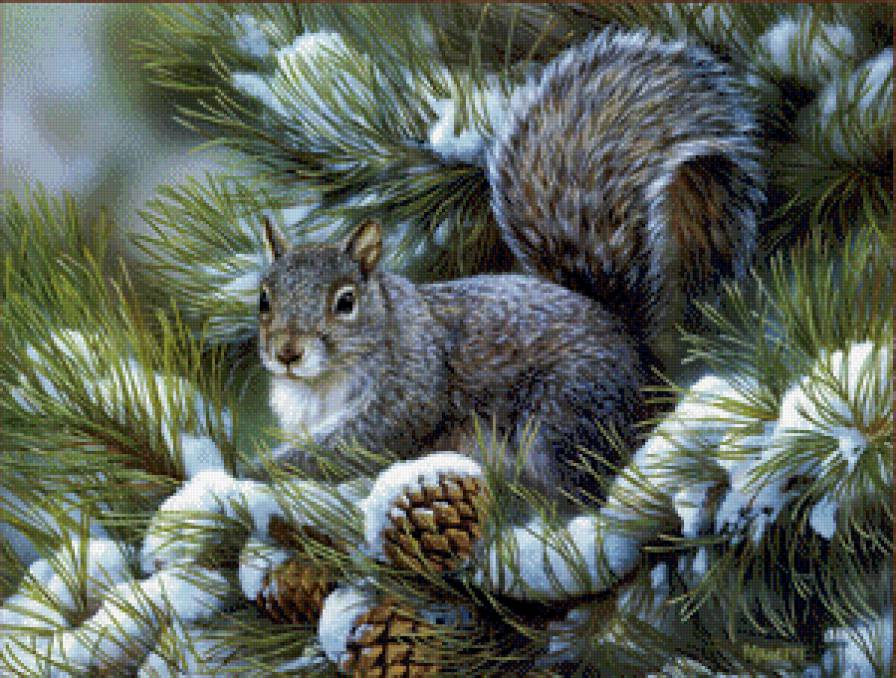 белочка - предпросмотр