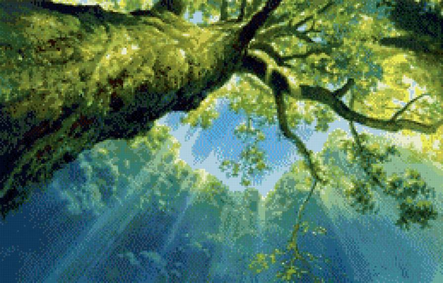 Чудесное утро - солнце, утро, свет, дерево, лес - предпросмотр