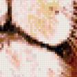 Предпросмотр схемы вышивки «№512604»