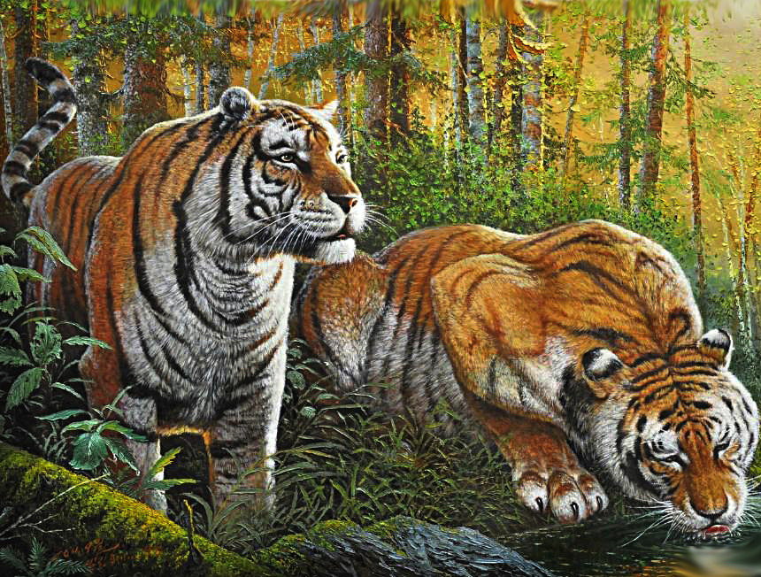 тигр - символ величия и мощи - оригинал