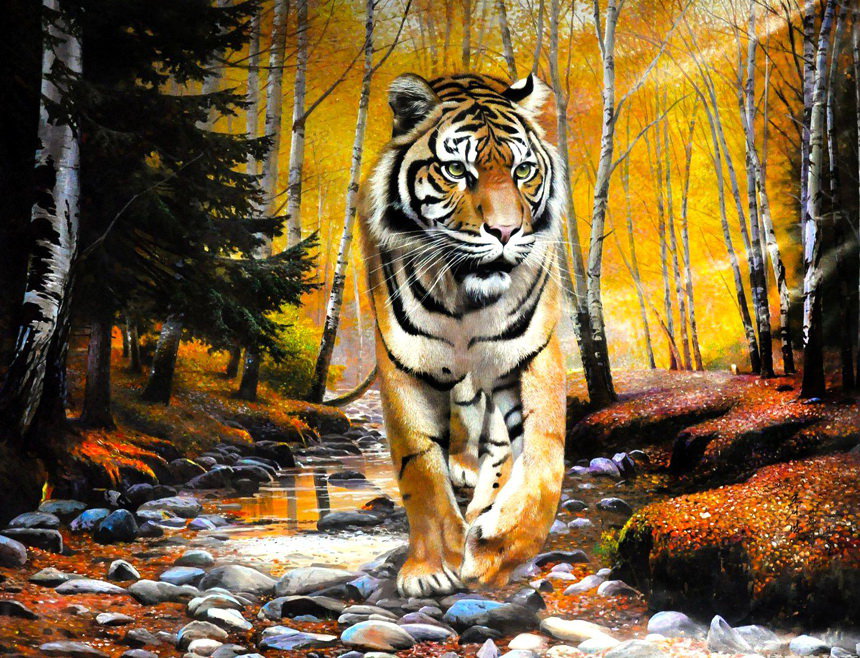 тигр - символ величия и мощи - оригинал