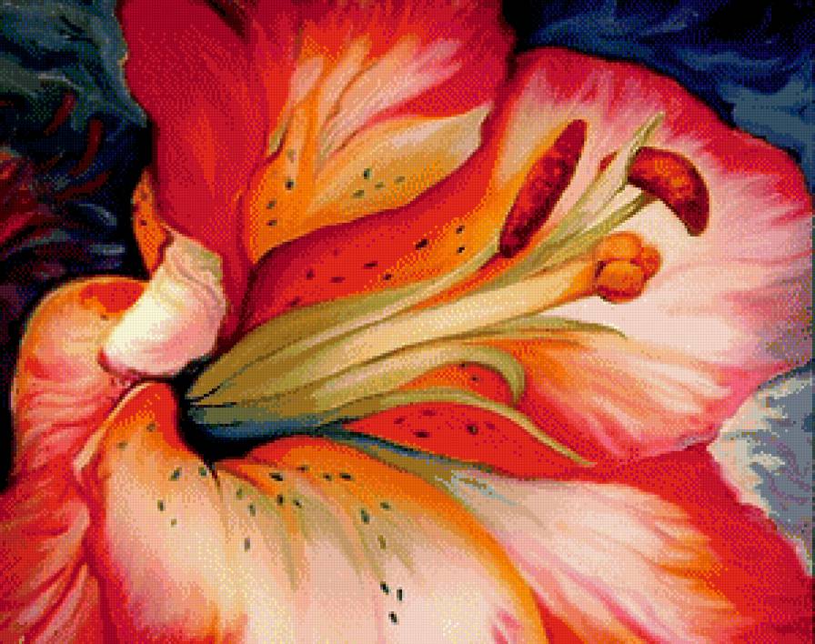 Красный цветок - цветы, лилейник - предпросмотр