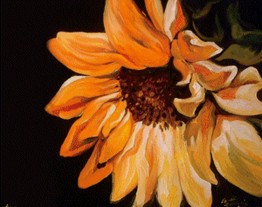 Подсолнух - цветы, подсолнухи - предпросмотр