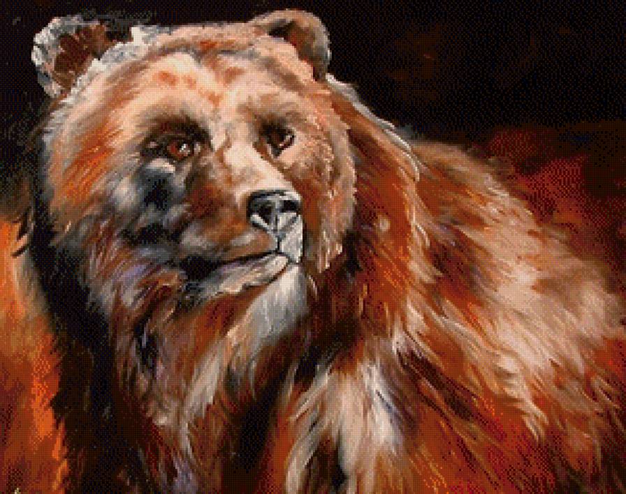 Медведь - животные, медведи - предпросмотр