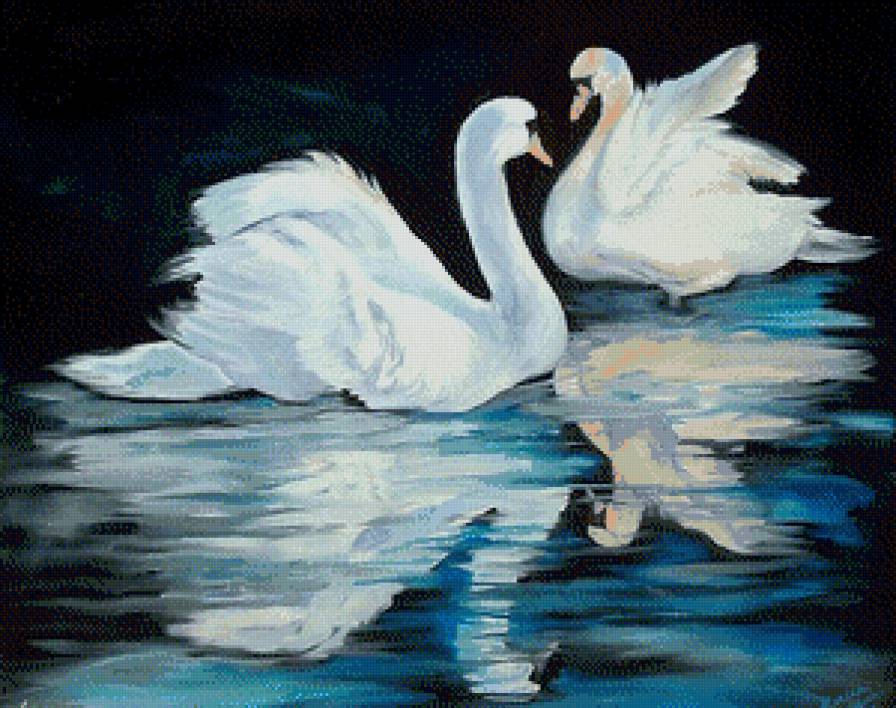 Парочка - птицы, пара, лебеди - предпросмотр