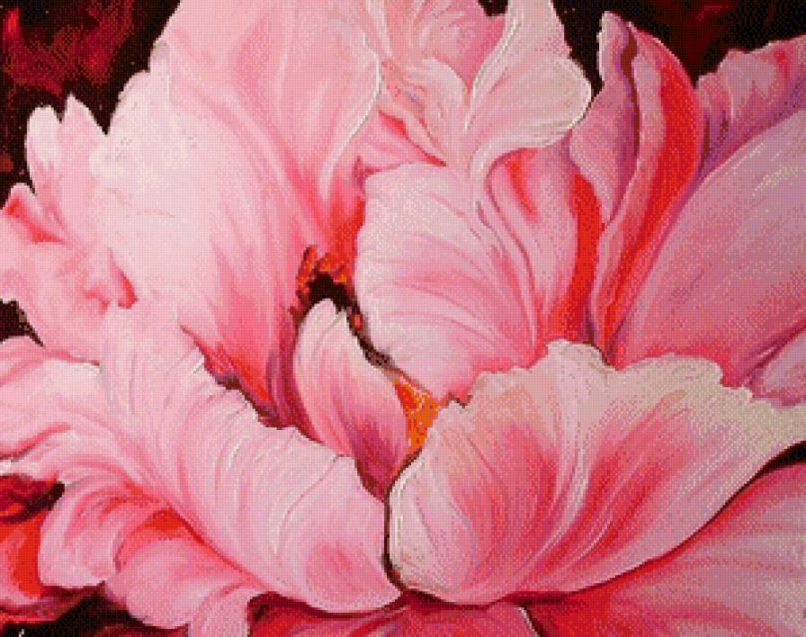 Пион - цветы, пионы - предпросмотр