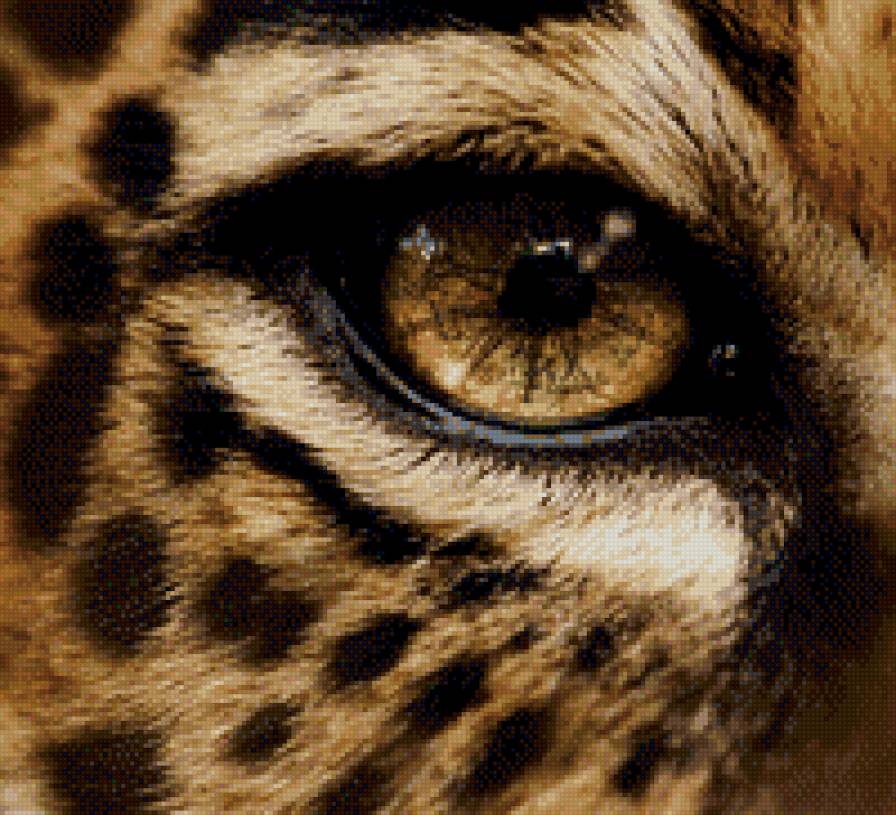 Леопард 2 - предпросмотр