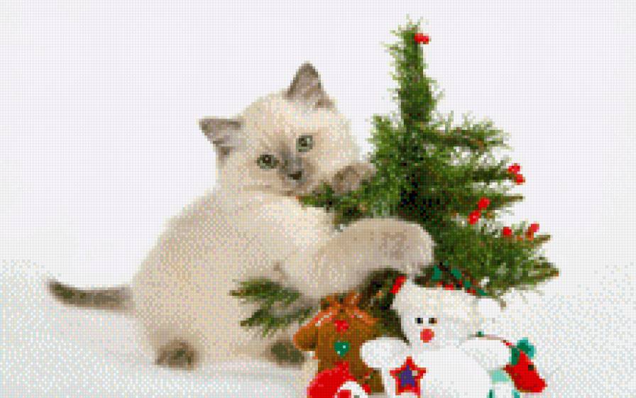 Новый год - подарки, новый год, елка, праздник, котенок - предпросмотр