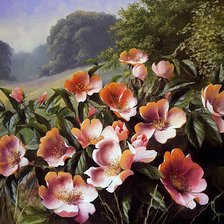 Луговые цветы-художник Mary Dipnall